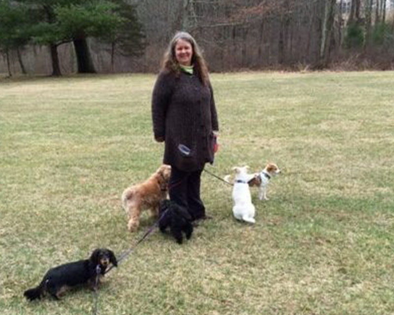Lady taking dogs for a walk